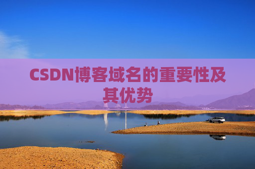 CSDN博客域名的重要性及其优势